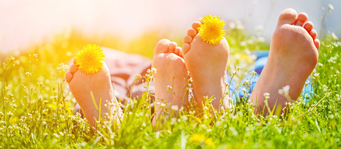 Kids feet with dandelion flowers lying on green grass in sunny day. Concept happy chidlhood.